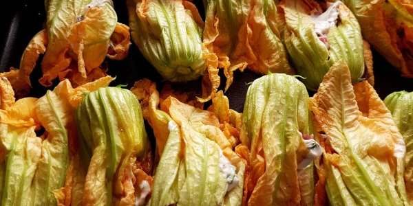 Fleurs de courgette farcies