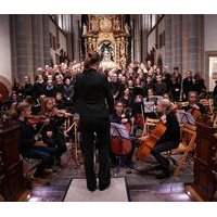 Concert "Miserere" de Mozart- Basilica Sant'Andrea della Valle