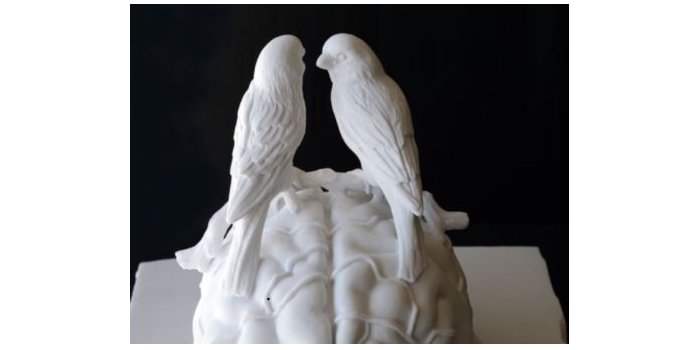 Jan Fabre - Songs of the Canaries et Songs of the Gypsies