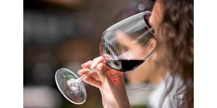 A L'ECOLE DE BACCHUS : DECOUVERTE DU HAUT ADIGE