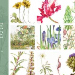"De fleur en fleur" : expo dans le nouveau Spazio Arti Floreali - Du 7 octobre 17:30 au 20 octobre 20:00 "De fleur en fleur" : expo dans le nouveau Spazio Arti Floreali - Du 7 octobre 17:30 au 20 octobre 20:00