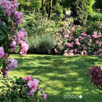 Primavera à la Villa Landriana : out sur le jardinage
