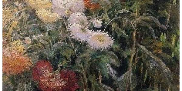 Florarium : en novembre, le Chrysanthème