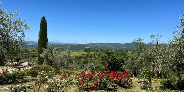 Déjeuner sur l'herbe chez Nicole