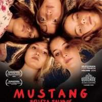 Film turc : "Mustang"