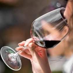 A L'ÉCOLE DE BACCHUS : DÉCOUVERTE DU CHIANTI