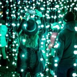 Lumières de Noël au Jardin Botanique