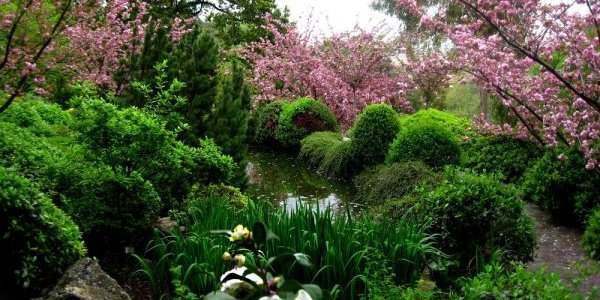 Le jardin botanique ou "Orto Botanico"