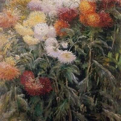 Florarium : en novembre, le Chrysanthème